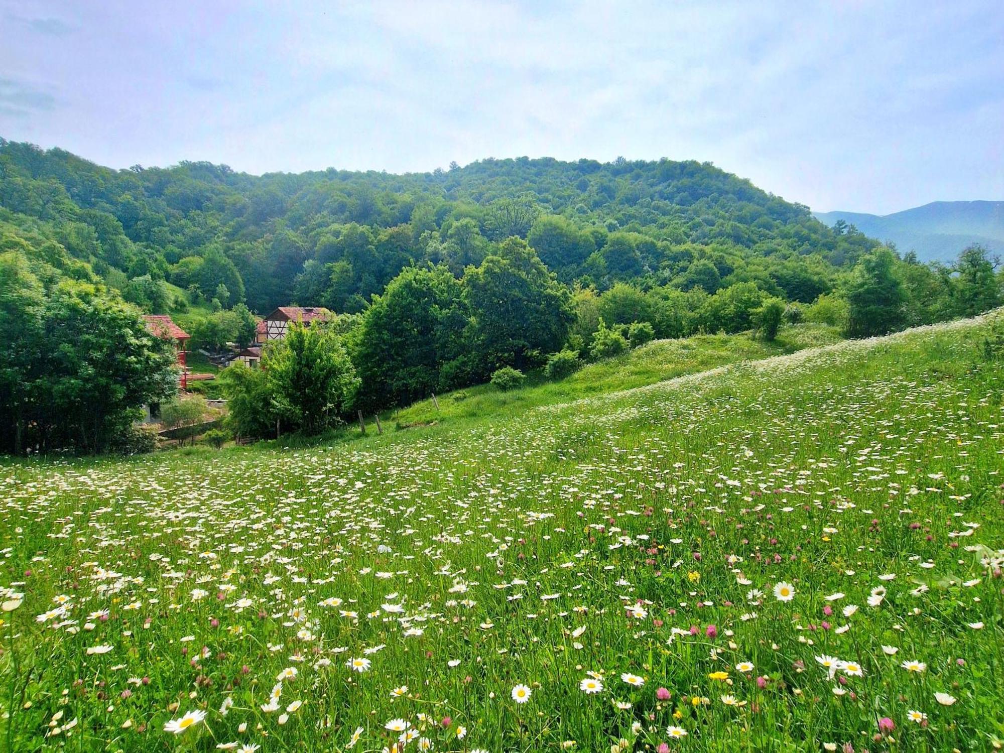 Ecokayan Dilijan Resort Hotel מראה חיצוני תמונה