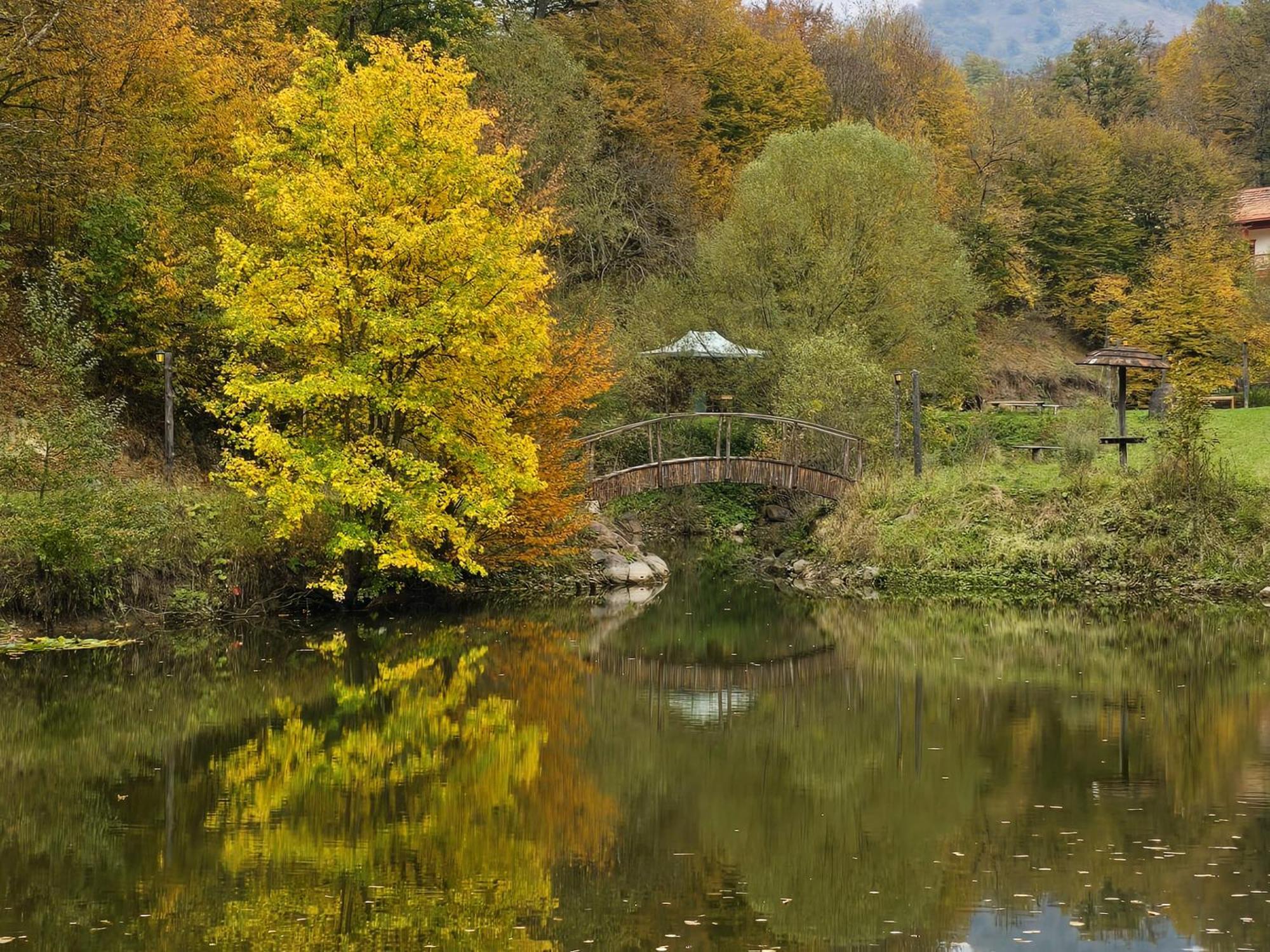 Ecokayan Dilijan Resort Hotel מראה חיצוני תמונה