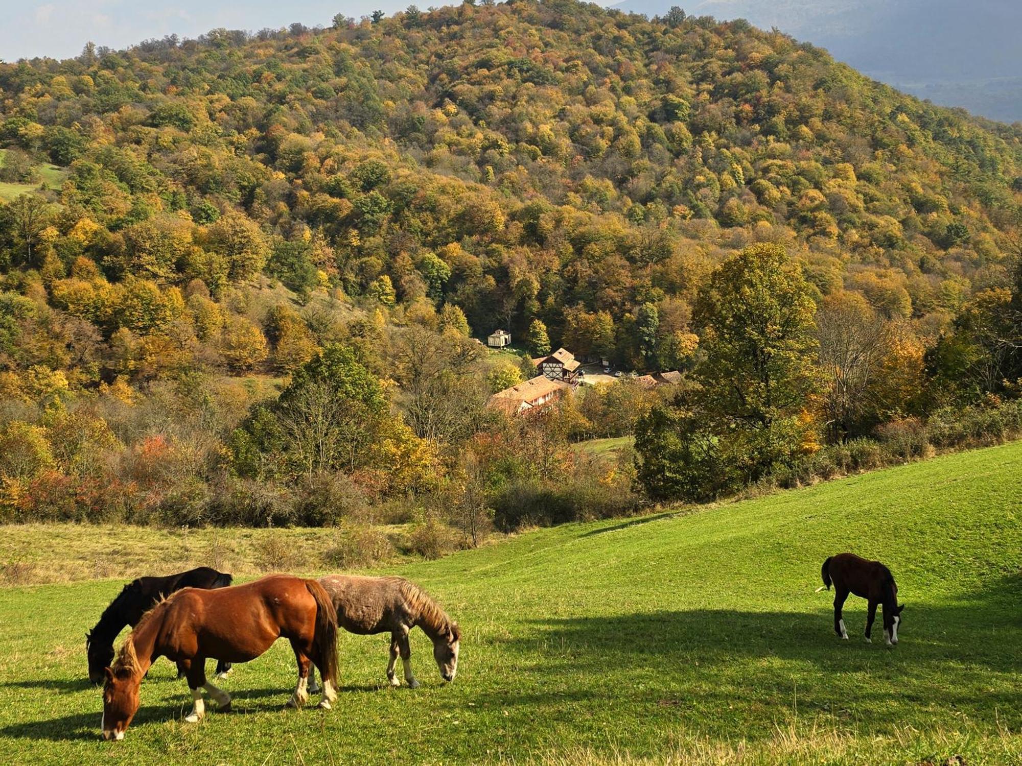 Ecokayan Dilijan Resort Hotel מראה חיצוני תמונה