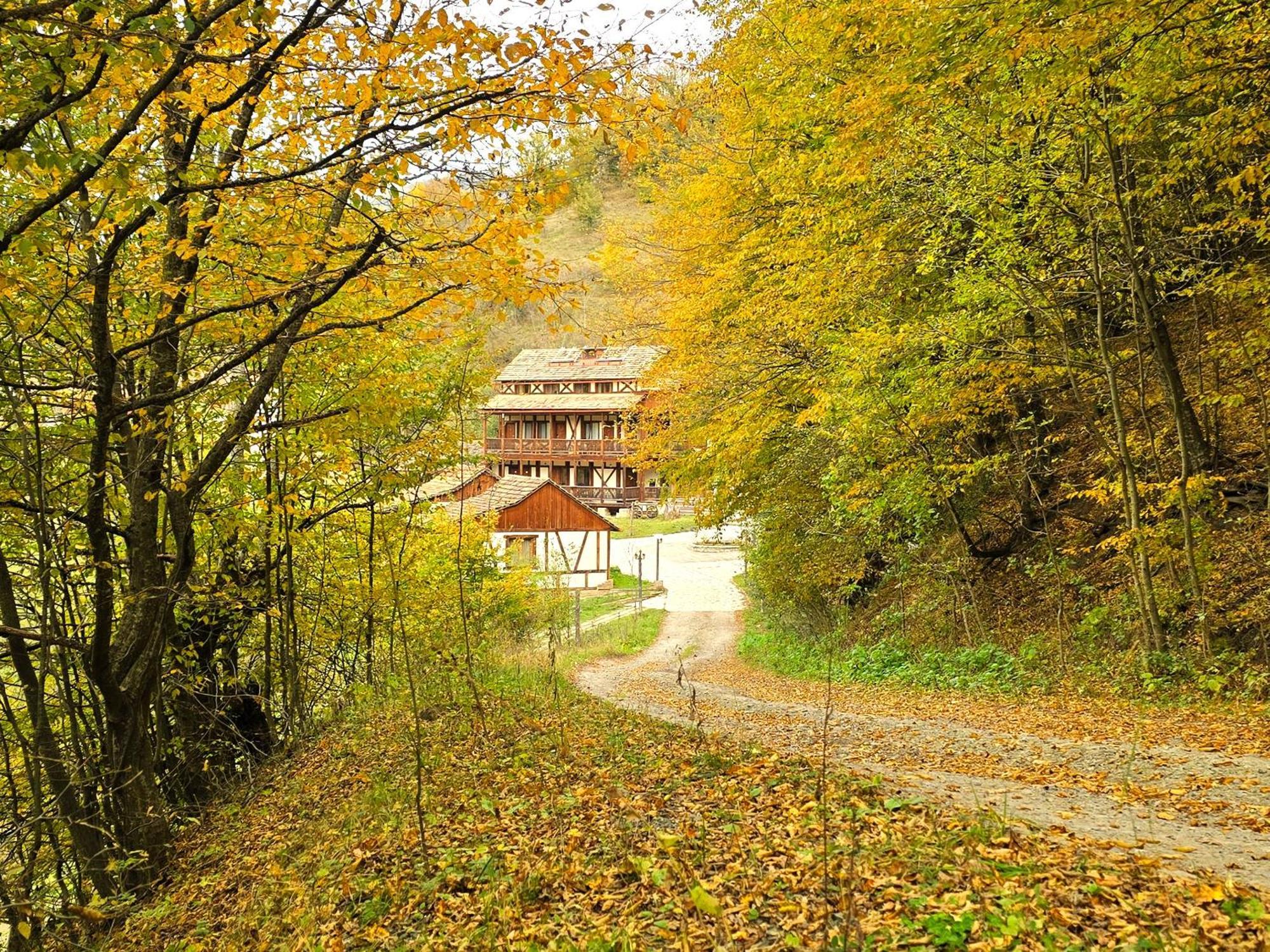 Ecokayan Dilijan Resort Hotel מראה חיצוני תמונה